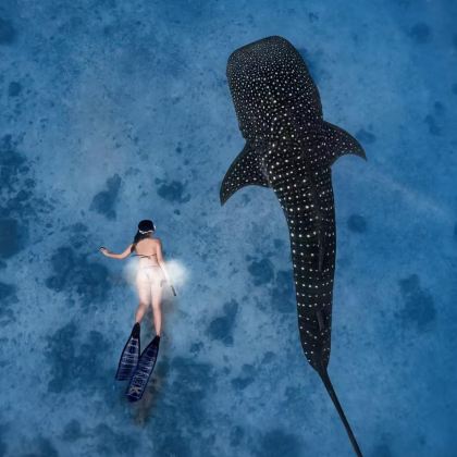 美娜多都会区5日4晚私家团 美娜多都会区5日4晚私家团