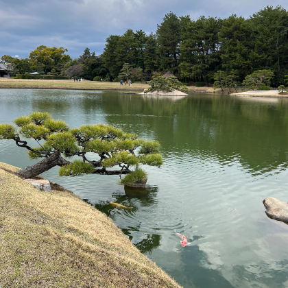 日本东京+京都+大阪+奈良10日9晚私家团 日本东京+京都+大阪+奈良10日9晚私家团