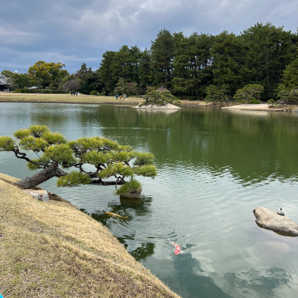 日本东京+京都+大阪+奈良市10日9晚私家团 日本东京+京都+大阪+奈良市10日9晚私家团