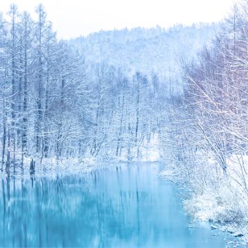 日本北海道登别+函馆+洞爷湖町+札幌8日7晚私家团 日本北海道登别+函馆+洞爷湖町+札幌8日7晚私家团