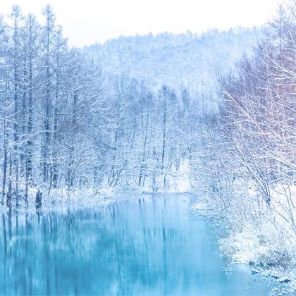 日本北海道登别+函馆+洞爷湖町+札幌8日7晚私家团 日本北海道登别+函馆+洞爷湖町+札幌8日7晚私家团