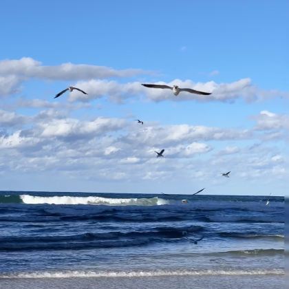 澳大利亚黄金海岸3日2晚跟团游 澳大利亚黄金海岸3日2晚跟团游