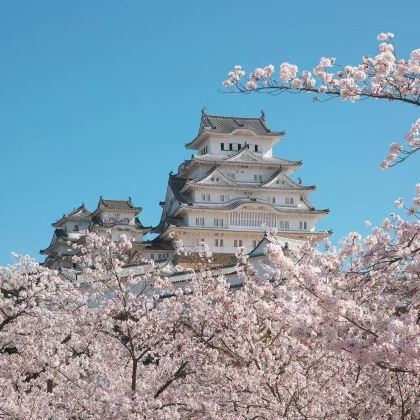 日本大阪+京都+富士山+东京6日5晚拼小团 日本大阪+京都+富士山+东京6日5晚拼小团