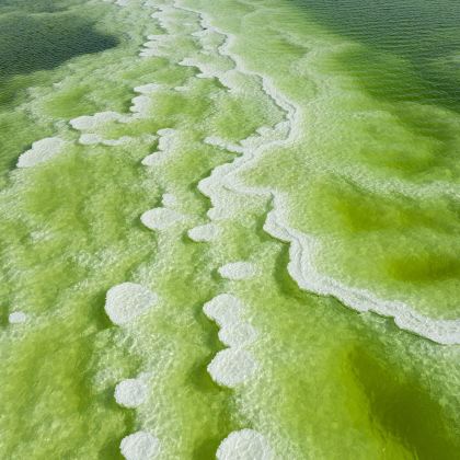 青海西宁+青海湖景区+敦煌+嘉峪关+张掖6日5晚拼小团 青海西宁+青海湖景区+敦煌+嘉峪关+张掖6日5晚拼小团