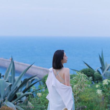 南宁+北海+德天瀑布+明仕田园+涠洲岛5日4晚私家团 南宁+北海+德天瀑布+明仕田园+涠洲岛5日4晚私家团