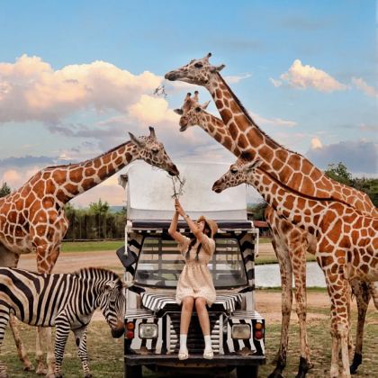 泰国曼谷+普吉岛6日5晚私家团 泰国曼谷+普吉岛6日5晚私家团