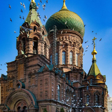 哈尔滨+伊春+汤旺河5日4晚跟团游 哈尔滨+伊春+汤旺河5日4晚跟团游