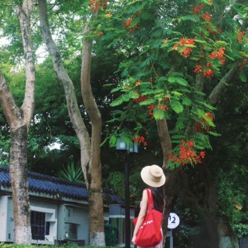 福建福州+平潭县+泉州5日4晚跟团游 福建福州+平潭县+泉州5日4晚跟团游