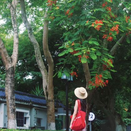 福建福州+平潭县+泉州5日4晚跟团游 福建福州+平潭县+泉州5日4晚跟团游