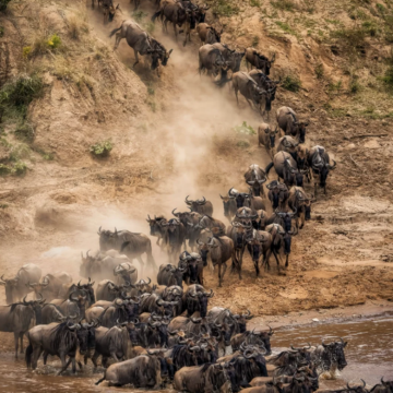 坦桑尼亚10日9晚跟团游 坦桑尼亚10日9晚跟团游