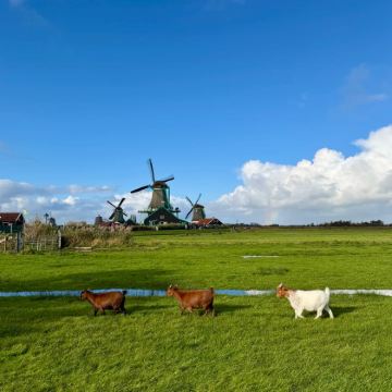 荷兰10日9晚自由行 荷兰10日9晚自由行