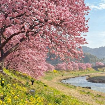 日本福冈+别府+熊本+长崎6日5晚私家团 日本福冈+别府+熊本+长崎6日5晚私家团