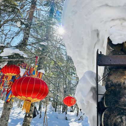 长白山6日5晚私家团 长白山6日5晚私家团