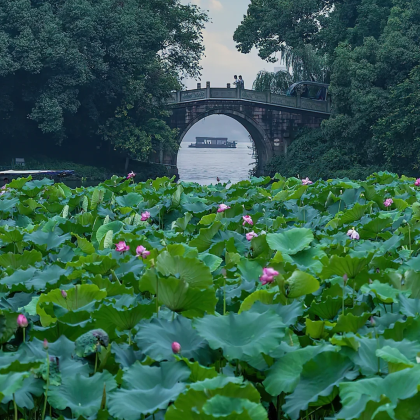 杭州+西湖+灵隐寺+乌镇+海宁潮+西塘古镇4日3晚私家团 杭州+西湖+灵隐寺+乌镇+海宁潮+西塘古镇4日3晚私家团