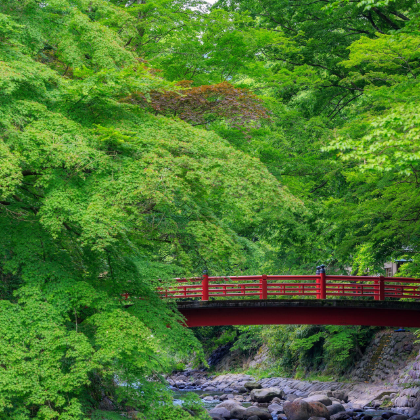 日本东京+河口湖+箱根+伊豆8日7晚私家团 日本东京+河口湖+箱根+伊豆8日7晚私家团