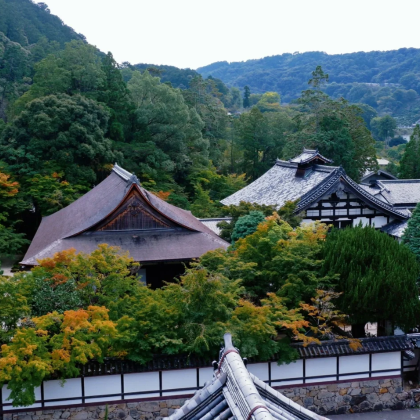 日本东京+轻井泽町+草津町8日7晚私家团 日本东京+轻井泽町+草津町8日7晚私家团