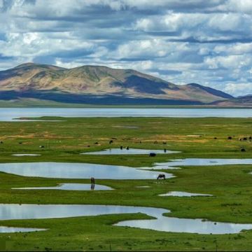 玉树市+三江源国家公园+新寨嘉那嘛呢石经城+龙羊峡+尕尔寺大峡谷生态旅游区+察尔汗盐湖+大柴旦翡翠湖旅游景区14日13晚私家团 玉树市+三江源国家公园+新寨嘉那嘛呢石经城+龙羊峡+尕尔寺大峡谷生态旅游区+察尔汗盐湖+大柴旦翡翠湖旅游景区14日13晚私家团