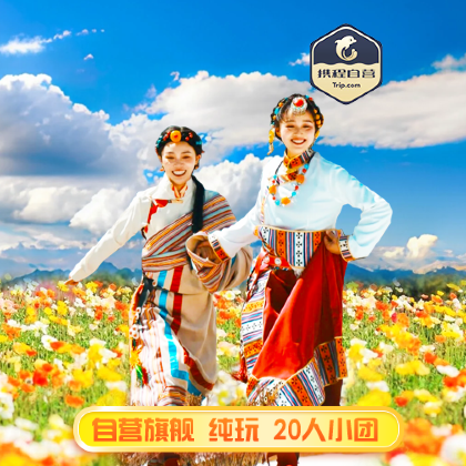 成都+九寨沟+黄龙风景名胜区+峨眉山+乐山大佛7日6晚跟团游