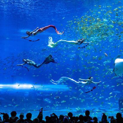 陵水+海南海洋欢乐世界度假区6日5晚拼小团 陵水+海南海洋欢乐世界度假区6日5晚拼小团