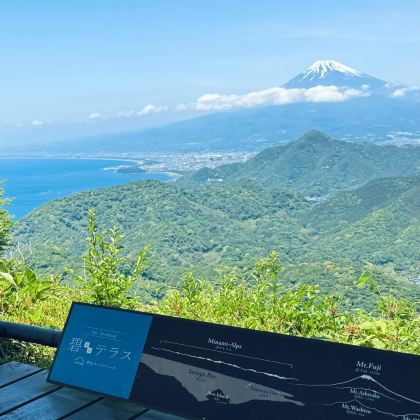 日本东京+伊豆市+小江户川越5日4晚私家团 日本东京+伊豆市+小江户川越5日4晚私家团