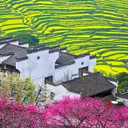 婺源篁岭景区+西递+宏村景区4日3晚私家团 婺源篁岭景区+西递+宏村景区4日3晚私家团