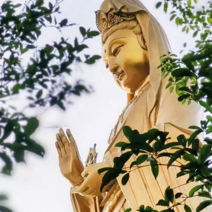 舟山普陀山风景区+东极岛3日2晚私家团 舟山普陀山风景区+东极岛3日2晚私家团