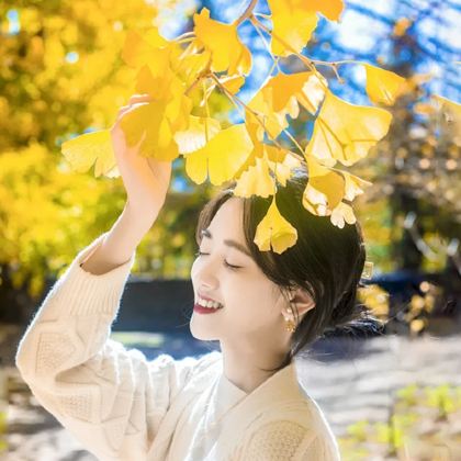 昆明+芒市+瑞丽+腾冲6日5晚跟团游 昆明+芒市+瑞丽+腾冲6日5晚跟团游
