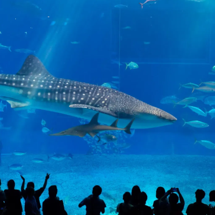 日本冲绳+冲绳美丽海水族馆5日4晚私家团 日本冲绳+冲绳美丽海水族馆5日4晚私家团