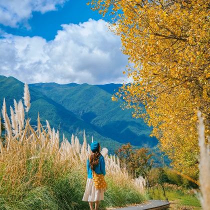 云南昆明+大理市+丽江6日5晚自由行 云南昆明+大理市+丽江6日5晚自由行