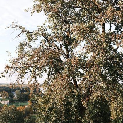 阿尔巴尼亚+塞尔维亚+黑山+波黑9日7晚拼小团 阿尔巴尼亚+塞尔维亚+黑山+波黑9日7晚拼小团