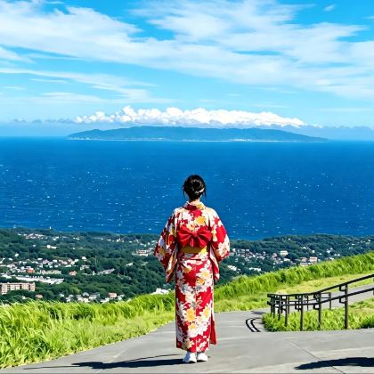 日本东京+富士山+伊豆市+箱根5日4晚私家团 日本东京+富士山+伊豆市+箱根5日4晚私家团