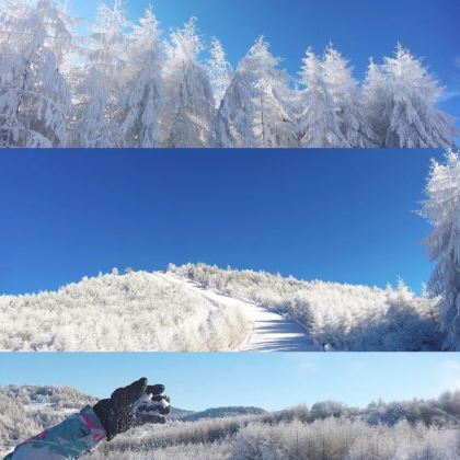 武当山+神农架+神农架国际滑雪场4日3晚私家团 武当山+神农架+神农架国际滑雪场4日3晚私家团