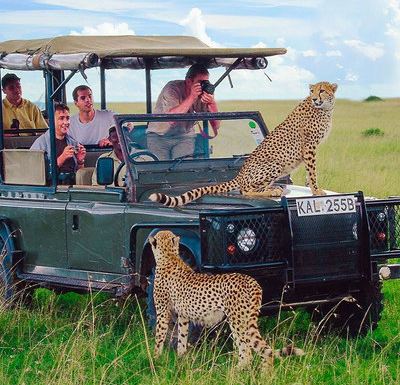 肯尼亚10日8晚私家团 肯尼亚10日8晚私家团