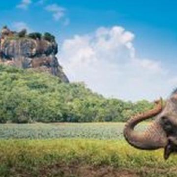 斯里兰卡7日6晚私家团 斯里兰卡7日6晚私家团