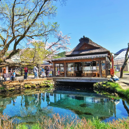 日本大阪+富士山+白川乡7日6晚跟团游 日本大阪+富士山+白川乡7日6晚跟团游