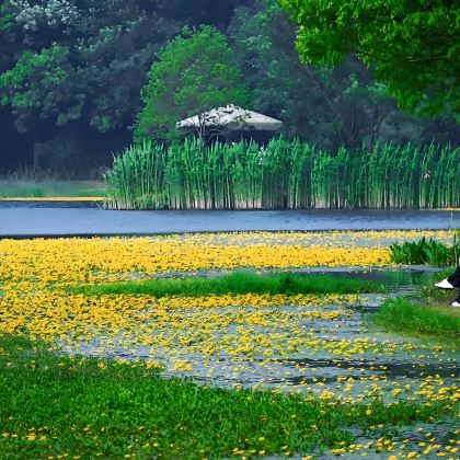 驻马店+嵖岈山风景区+琵琶湖+嫘祖文化苑+河上街古镇+南海禅寺+天中山文化园5日4晚私家团 驻马店+嵖岈山风景区+琵琶湖+嫘祖文化苑+河上街古镇+南海禅寺+天中山文化园5日4晚私家团