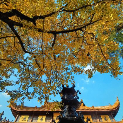 绍兴+宁波4日3晚私家团 绍兴+宁波4日3晚私家团