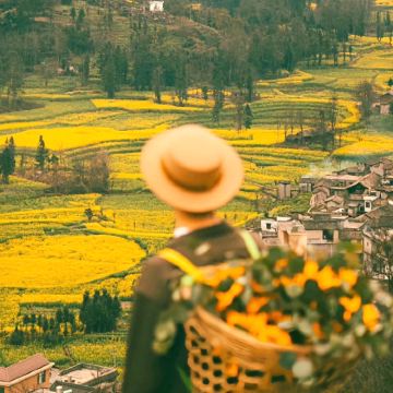 云南昆明+罗平+蒙自+元阳+建水+抚仙湖7日6晚拼小团 云南昆明+罗平+蒙自+元阳+建水+抚仙湖7日6晚拼小团