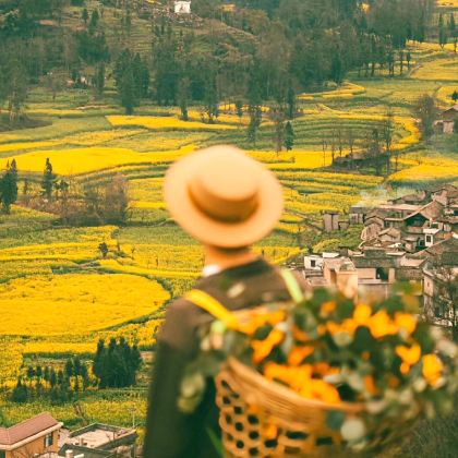 云南昆明+罗平+蒙自+元阳+建水+抚仙湖7日6晚拼小团 云南昆明+罗平+蒙自+元阳+建水+抚仙湖7日6晚拼小团