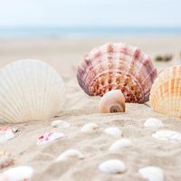 海南三亚+三沙+西沙群岛6日5晚私家团 海南三亚+三沙+西沙群岛6日5晚私家团