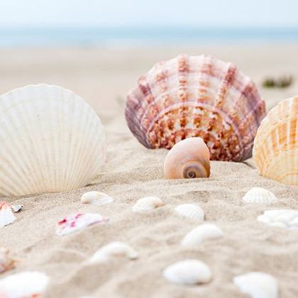 海南三亚+三沙+西沙群岛6日5晚私家团 海南三亚+三沙+西沙群岛6日5晚私家团