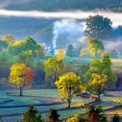 婺源篁岭景区+塔川+西递+宏村景区+徽州古城+西溪南古村落+新安江山水画廊4日3晚私家团 婺源篁岭景区+塔川+西递+宏村景区+徽州古城+西溪南古村落+新安江山水画廊4日3晚私家团