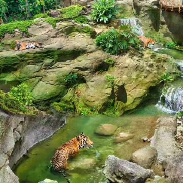 新加坡+吉隆坡+马六甲6日5晚私家团 新加坡+吉隆坡+马六甲6日5晚私家团