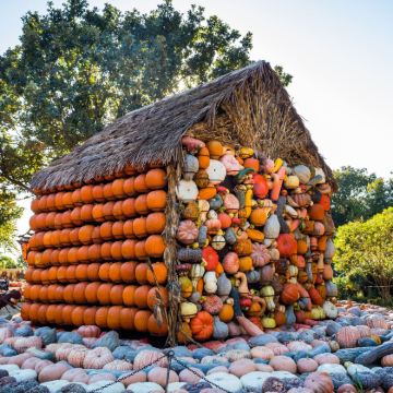 美国5日4晚私家团 美国5日4晚私家团