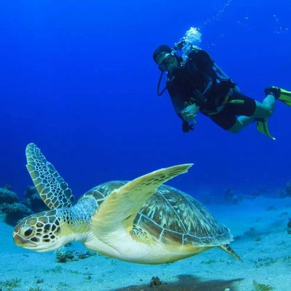 印度尼西亚+万鸦老7日6晚拼小团 印度尼西亚+万鸦老7日6晚拼小团