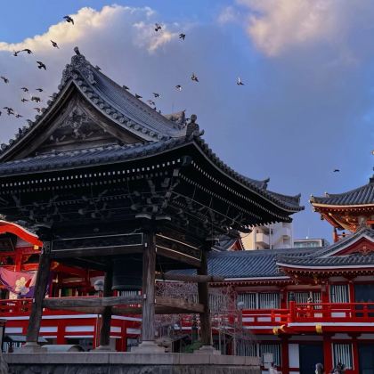 日本名古屋+下吕市+金泽+飞驒高山7日6晚跟团游 日本名古屋+下吕市+金泽+飞驒高山7日6晚跟团游