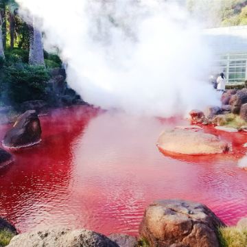 日本九州+福冈+熊本+别府温泉+黑川温泉8日7晚私家团 日本九州+福冈+熊本+别府温泉+黑川温泉8日7晚私家团