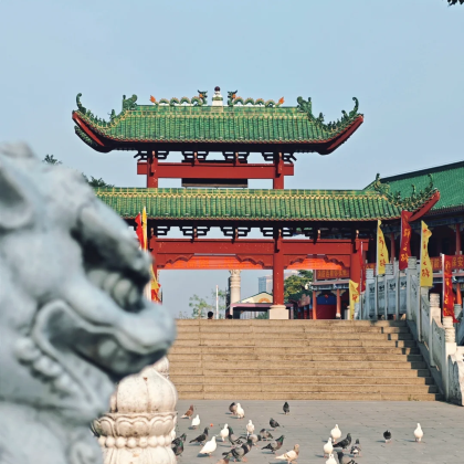 佛山+四会+肇庆+清远5日4晚私家团 佛山+四会+肇庆+清远5日4晚私家团