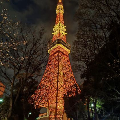 日本大阪+京都+东京7日6晚拼小团 日本大阪+京都+东京7日6晚拼小团