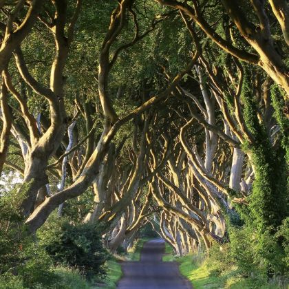 英国伦敦+牛津+剑桥+约克+爱丁堡+贝尔法斯特+巨人之路+都柏林11日10晚拼小团 英国伦敦+牛津+剑桥+约克+爱丁堡+贝尔法斯特+巨人之路+都柏林11日10晚拼小团